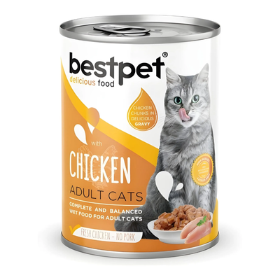 BestPet Cat Chicken in Gravy 400g