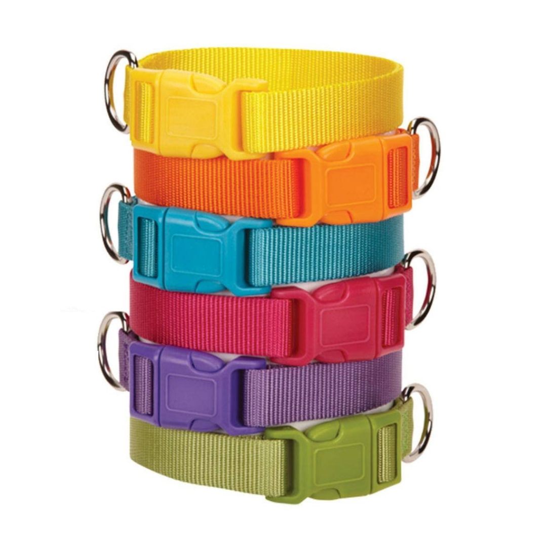 Pets.Love.Earth Dog Collar