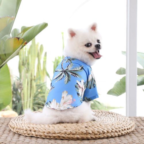 Pet Summer Shirt - Blue Tropical