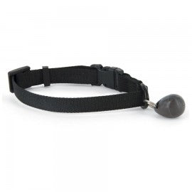 Staywell Collar & Magnetic Key