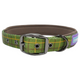 طوق مبطن من Dog &amp; Co Green Country Check