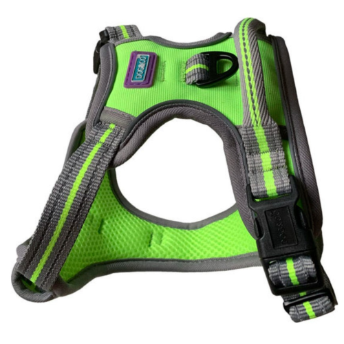 Dog & Co Lime Sports Harness