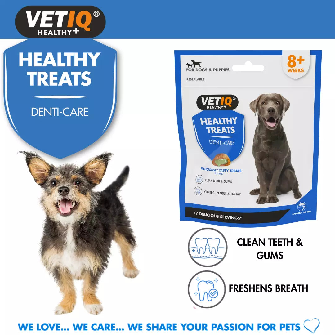 VetIQ Healthy Treat Breath Dental Care Dog Treat 70g