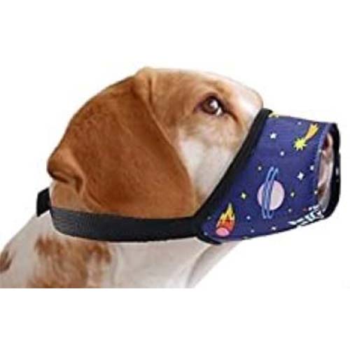 Cosmic Nylon Dog Muzzle