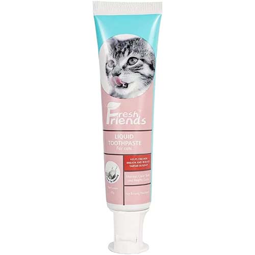 Fresh Friends Cat Liquid Toothpaste 45g