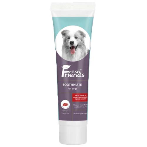 Fresh Friends Dog Toothpaste Beef Flavor 90g