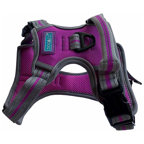 Dog & Co Purple Sports Harness