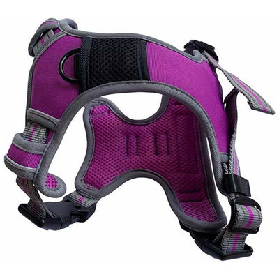 Dog & Co Purple Sports Harness