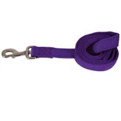 Petmate Purple 6 'Nylon Lead / Leash