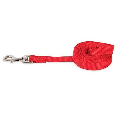 Petmate Red 4 "Nylon Lead / Leash