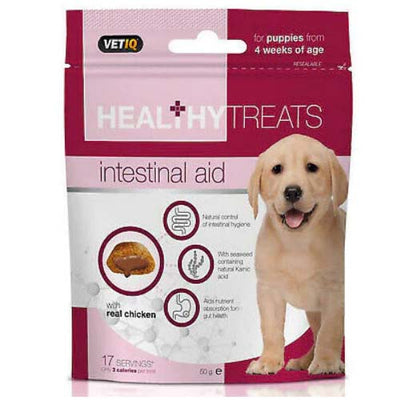 EXP MAR24 VetIQ Intestinal Care for Dogs 50g