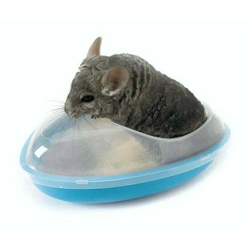 Wellness Chinchilla Bath