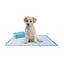 Zolux Puppy Trainer Pads 60x60cm (30 pieces)